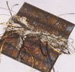 thumbnail: Livingston