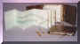 thumbnail: Beech