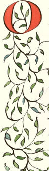 leafy border
