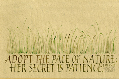 The Pace of Nature