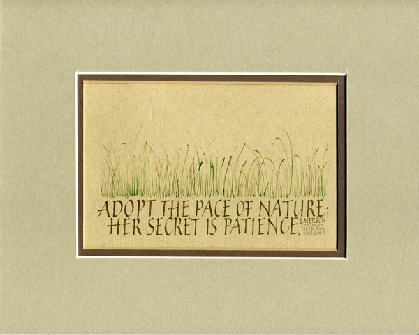 The Pace of Nature