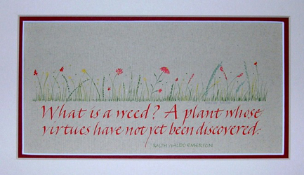 What is a weed? artwork