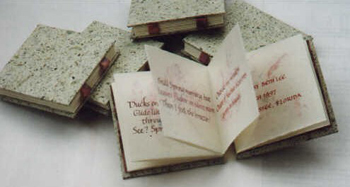 Spring Haiku Book