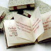 thumbnail: Spring Haiku Book